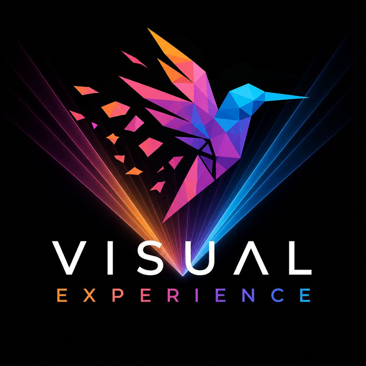 Visual Experience logo
